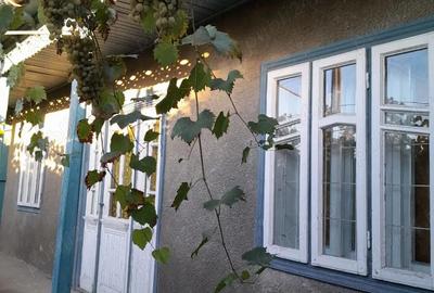 Casă cu Teren 2240 Mp în Scorțaru Nou