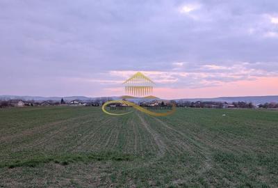 Teren agricol intravilan de 7774 mp, în Lilieci - 1