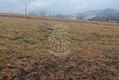 Teren de 8335 mp, în Săcuieu - 12