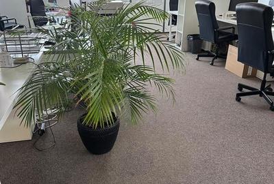 Comision 0! Inchiriere spații birouri in zona Piata Victoriei - de la 107mp - 9