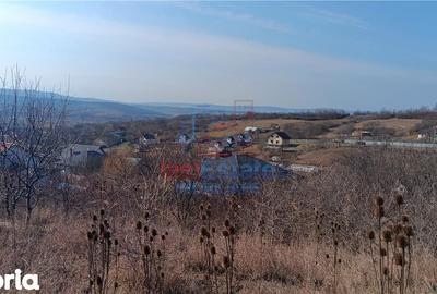 Teren de 1000 mp, în Bârnova - 2
