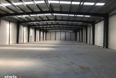 Spațiu comercial, de 450 mp, în Chitila - 5
