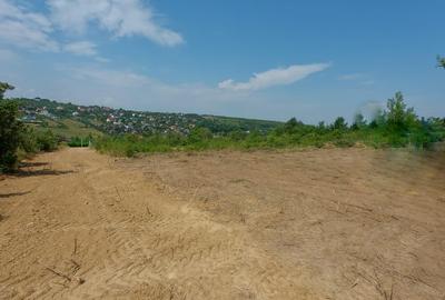 Teren Construcții intravilan de 1200 mp, în Bârnova - 3