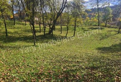 Teren de vanzare in comuna Arefu, jude? Arge?. - 11