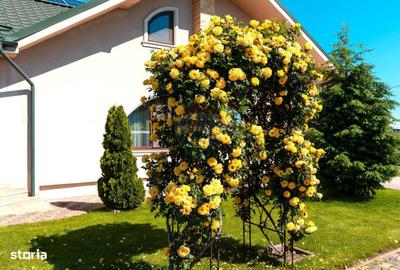 Casă cu 4 camere cu Canalizare în Spătaru - 5