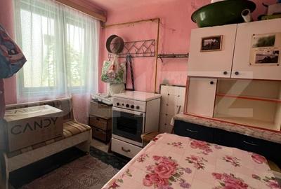 Apartament cu 2 camere cu curte, 90mp, zona Turda Noua - 12