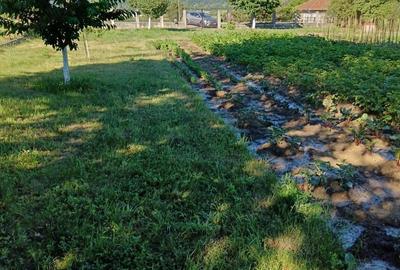 Teren de 2060 mp, în Mănicești - 9
