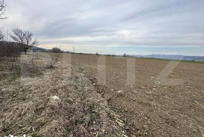 Teren de 32000 mp, în Băcia