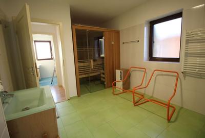 VILA DE INCHIRIAT - ZONA CALEA ARADULUI - 21