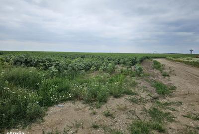 Teren de 14832 mp, în Central - 6