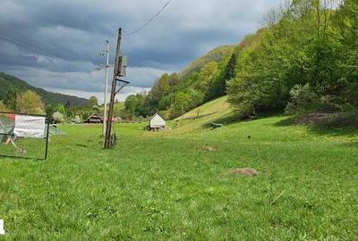 Teren de 2450 mp, în Bulz - 4