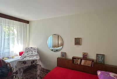 Reprezentare exclusiva apartament 2 camere Gemenii - 3