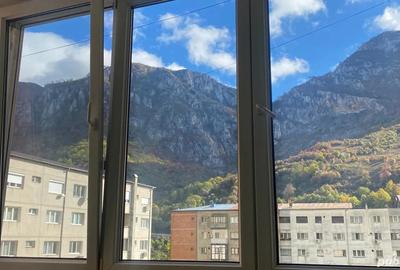 Proprietar, vand apartament cu 2 camere in Baile Herculane - 4