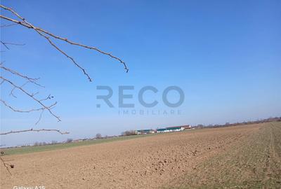 RECO Teren intravilan aproape de zona industriala Biharia - 3