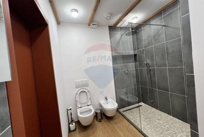 Apartament cu 5 camere semidecomandat în Grigorescu - 16