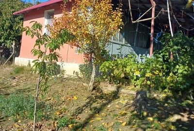 Casa batraneasca loc. Chiraftei 2100mp - 1