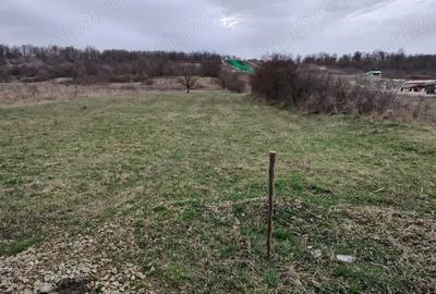 Teren de 5476 mp, în Arcani - 2