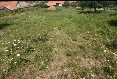 Casă cu 4 camere în Central - 7