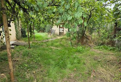 RECO IMOBILIARE CASA BATRANEASCA TINCA - 15