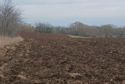 Teren agricol extravilan de 11500 mp, în Tiream - 1