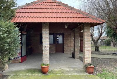 Casă cu Teren 1454 Mp în Pustiniș - 5