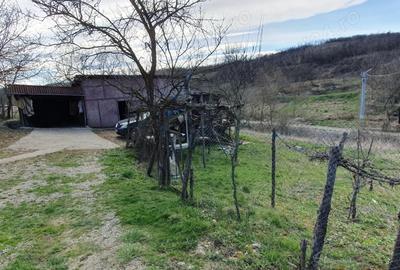 Vand casa batraneasca in sat iclozel jud cluj - 2