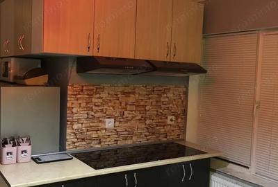 De inchiriat apartament cu o camera in zona Buziasului - 3