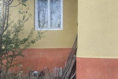 Casă cu 2 camere în Ormeniș - 6