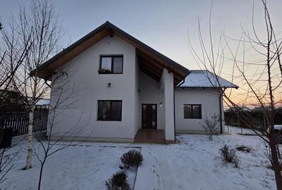 De vanzare vila in Horia - 2