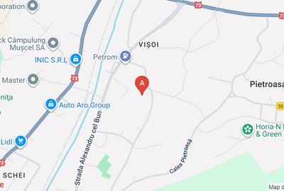 Vânzare teren intravilan, 1.160 mp, situat în cartierul Vișoi, Câmpulung Muscel - 1