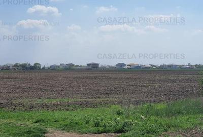 Teren extravilan 2.410 mp - Darza, Dambovita - 3