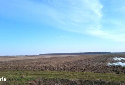 Teren de 22000 mp, în Petrești - 3