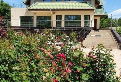 Vanzare vila Mogosoaia - Chitila Lac - 2