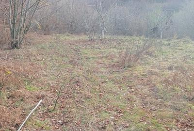 Teren de 9100 mp, în Râu de Mori - 2