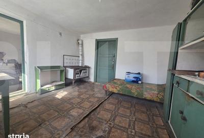 Casă cu 4 camere cu Teren 1210 Mp în Valea Crișului - 8