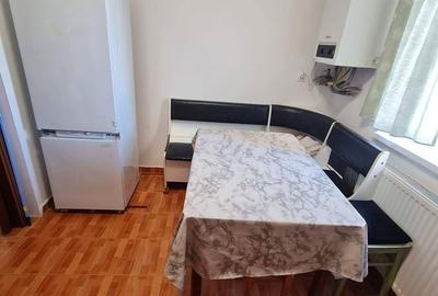 Apartament cu 3 camere decomandat în Terezian - 11