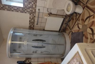 Casă cu 3 camere cu Teren 5700 Mp în Viile Satu Mare - 5