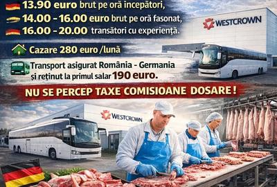 Casă cu 1 camere în Central - 1