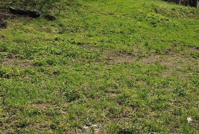 Teren de 1536 mp, în Ceuaș - 1