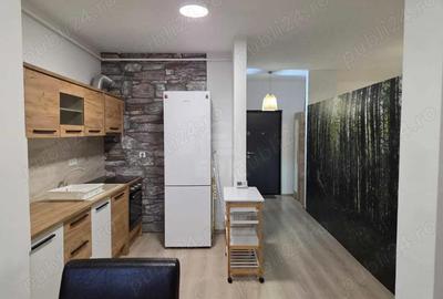 Apartament 1 camera zona Avram Iancu - 13