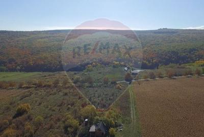 Teren agricol intravilan de 2556 mp, în Pădureni (Chinteni) - 4