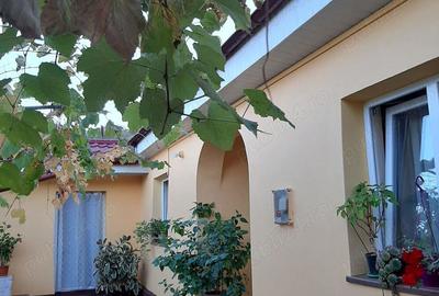 Casa cu gradina de vanzare Casa cu gradina de vanzare - 2