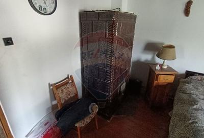 Casă de vânzare în stil vechi cu 3 camere si 3 arii în Cop. Manastur - 11