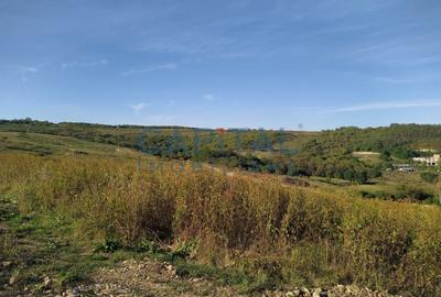 7 parcele teren intravilan 11.050mp cu priveliste panoramica, zona Lacuri Oradea - 4