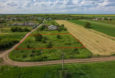 FRUMUSANI - POSTAVARI, TEREN 1500 MP, FRONT 30 M ! - 8