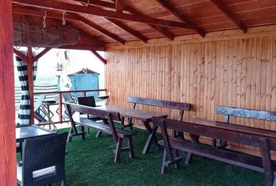 Spațiu comercial, de 180 mp, în Murighiol - 3