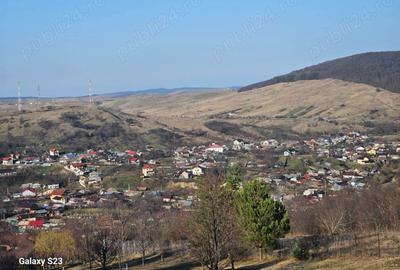 Casă cu 4 camere cu Teren 8140 Mp în Gârcina - 2