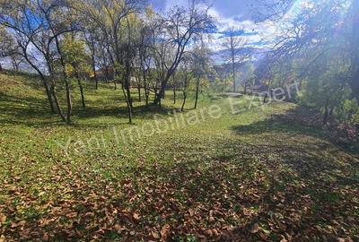 Teren de 1587 mp, în Arefu - 18