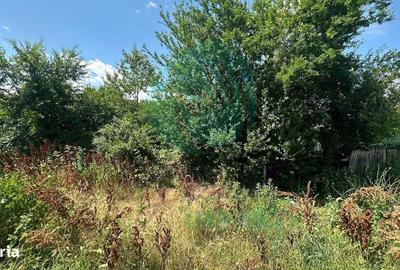 Spațiu comercial, în Siliștea Snagovului - 4