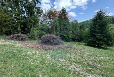 Teren 8500 mp, Valea Dalghiului - Dalghiu - vedere catre Ciucas - 10